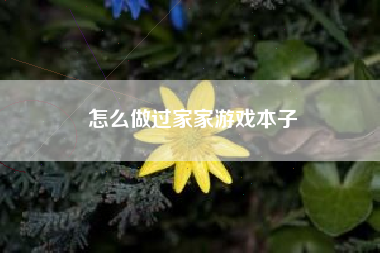 怎么做过家家游戏本子