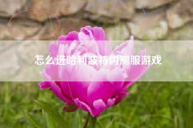 怎么进哈利波特内测服游戏