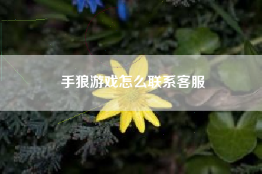 手狼游戏怎么联系客服