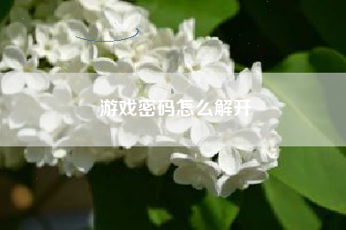 游戏密码怎么解开