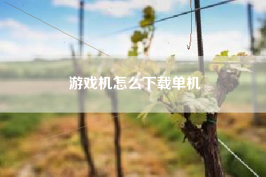 游戏机怎么下载单机