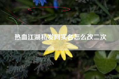 热血江湖私发网实名怎么改二次