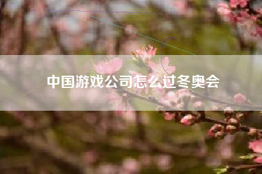 中国游戏公司怎么过冬奥会