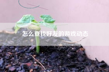怎么查找好友的游戏动态