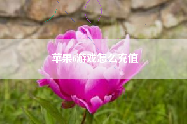 苹果6游戏怎么充值