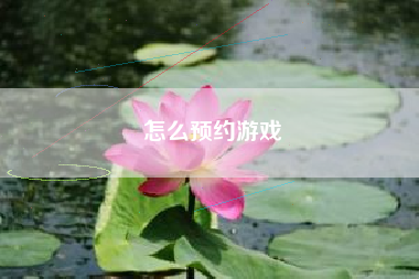 怎么预约游戏