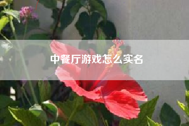 中餐厅游戏怎么实名