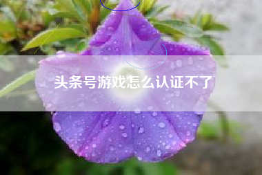 头条号游戏怎么认证不了
