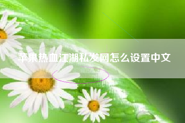 苹果热血江湖私发网怎么设置中文