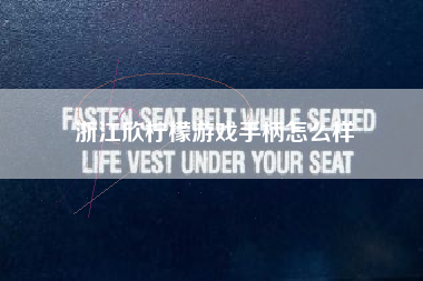 浙江欣柠檬游戏手柄怎么样