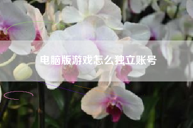 电脑版游戏怎么独立账号