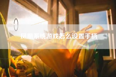 凤凰系统游戏怎么设置手柄
