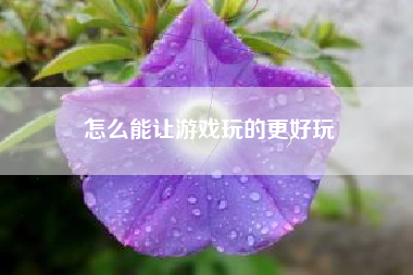怎么能让游戏玩的更好玩