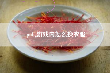 pubg游戏内怎么换衣服