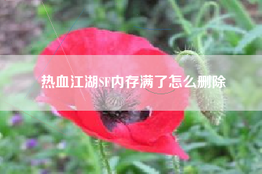 热血江湖SF内存满了怎么删除