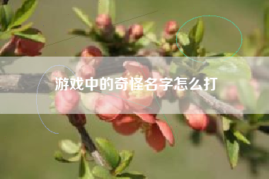 游戏中的奇怪名字怎么打