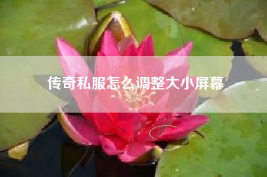 传奇私服怎么调整大小屏幕