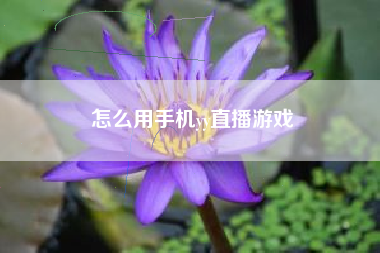 怎么用手机yy直播游戏