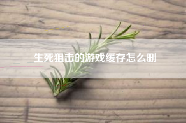 生死狙击的游戏缓存怎么删