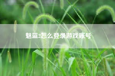魅蓝2怎么登录游戏账号