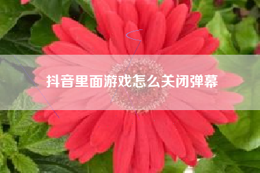 抖音里面游戏怎么关闭弹幕