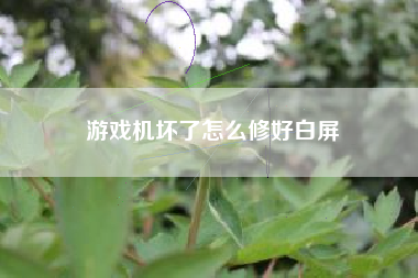 游戏机坏了怎么修好白屏