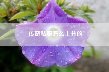 传奇私服怎么上分的