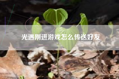 光遇刚进游戏怎么传送好友