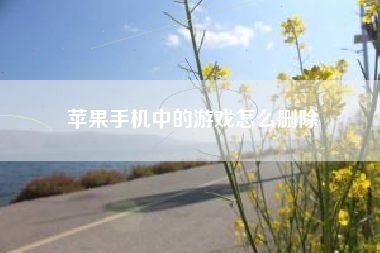 苹果手机中的游戏怎么删除