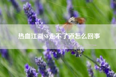 热血江湖SF走不了道怎么回事