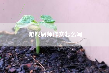 游戏厨师作文怎么写