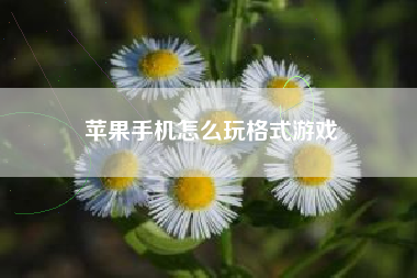 苹果手机怎么玩格式游戏