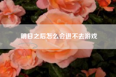 明日之后怎么会进不去游戏