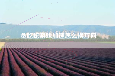 贪吃蛇游戏加速怎么换方向