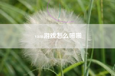 vam游戏怎么啪啪