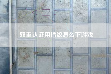 双重认证用指纹怎么下游戏
