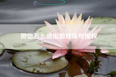 微信怎么退出游戏账号授权