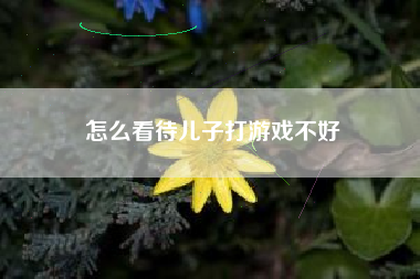 怎么看待儿子打游戏不好