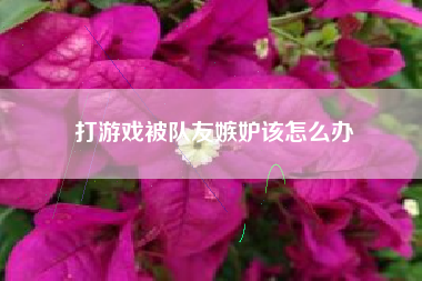 打游戏被队友嫉妒该怎么办
