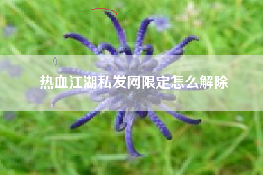 热血江湖私发网限定怎么解除
