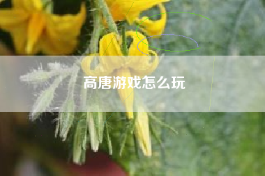高唐游戏怎么玩