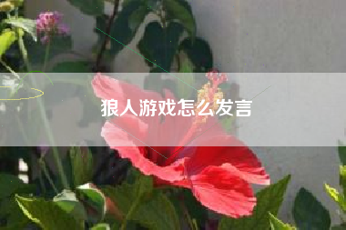 狼人游戏怎么发言