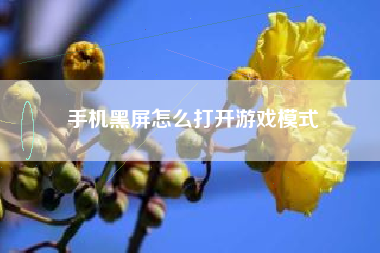 手机黑屏怎么打开游戏模式