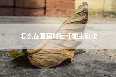 怎么在直播时挂斗地主游戏