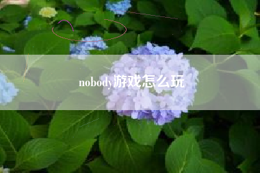nobody游戏怎么玩