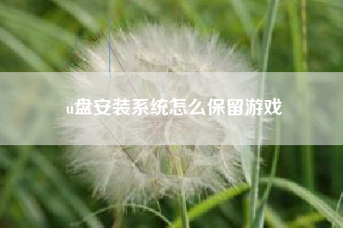 u盘安装系统怎么保留游戏
