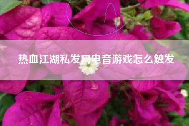 热血江湖私发网电音游戏怎么触发