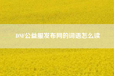 DNF公益服发布网的词语怎么读
