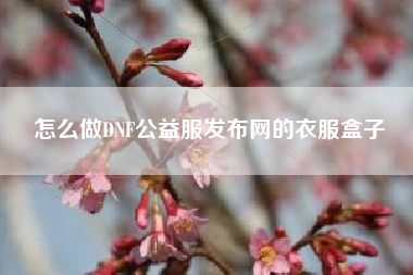 怎么做DNF公益服发布网的衣服盒子