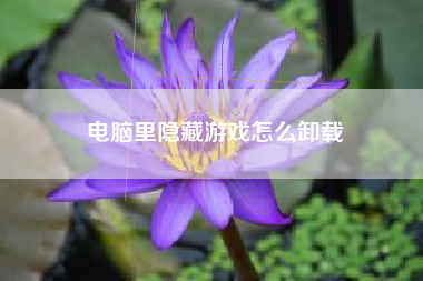 电脑里隐藏游戏怎么卸载